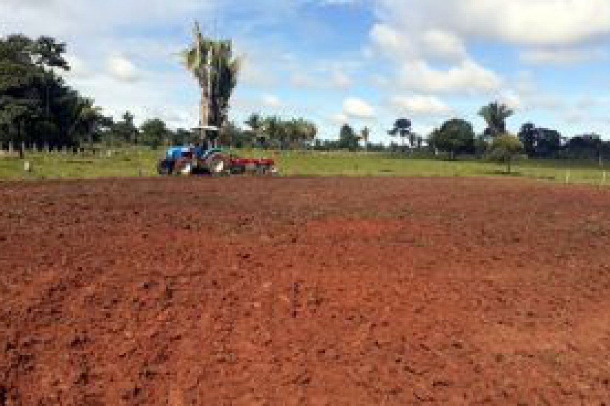 Pequenos agricultores de Ouro Preto do Oeste so beneficiados pelo programa 'Porteira Adentro'