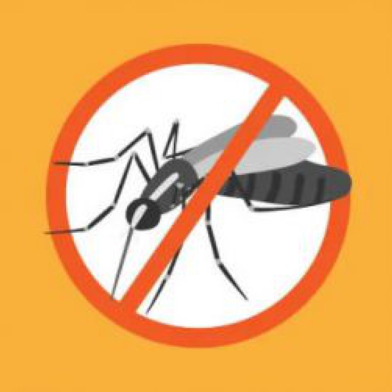 O que fazer para combater o mosquito Aedes aegypti?