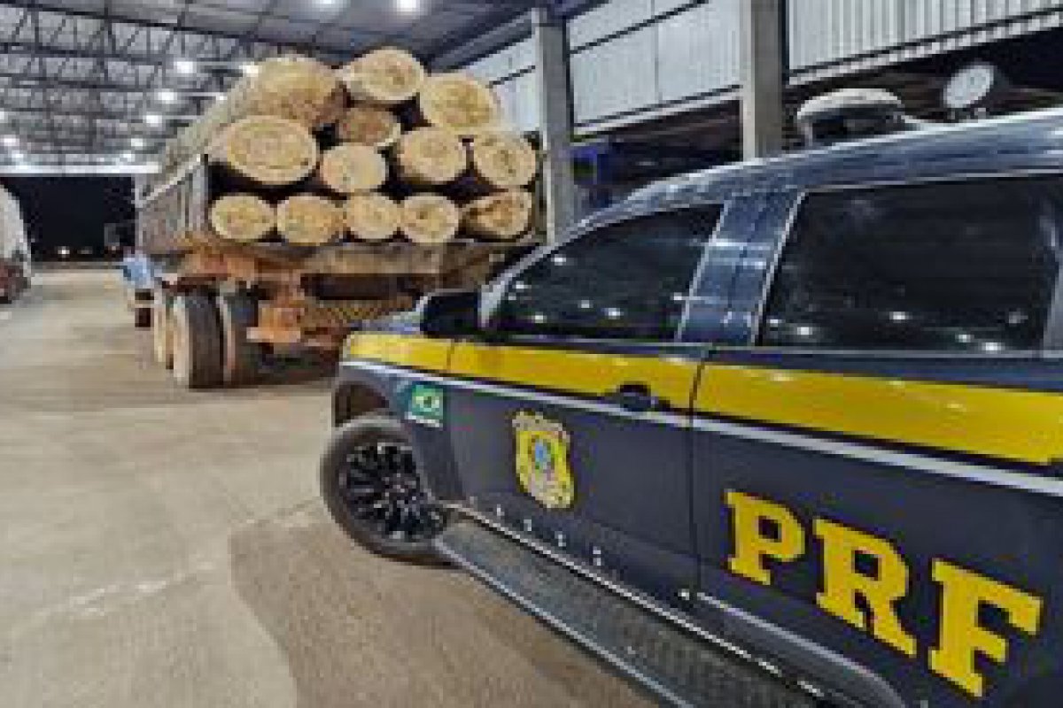 Em Rondnia, PRF identifica transporte irregular de madeira