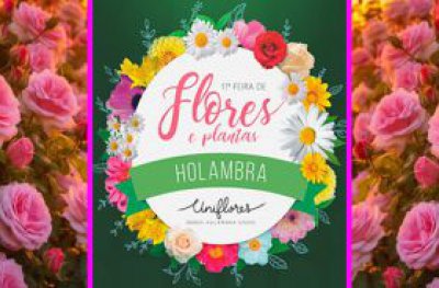 11 Feira de Flores e Plantas Holambra acontece de 27 de abril a 05 de maio em Ouro Preto do Oeste