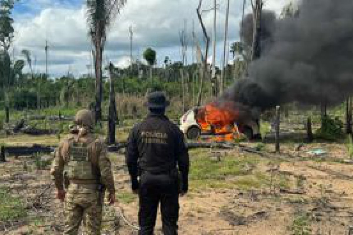 PF deflagra operao para combater crimes ambientais na Terra Indgena Igarap Lage em Rondnia